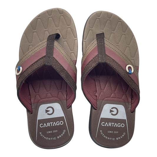 Chinelo Masculino Servilha Dedo Cartago 12390