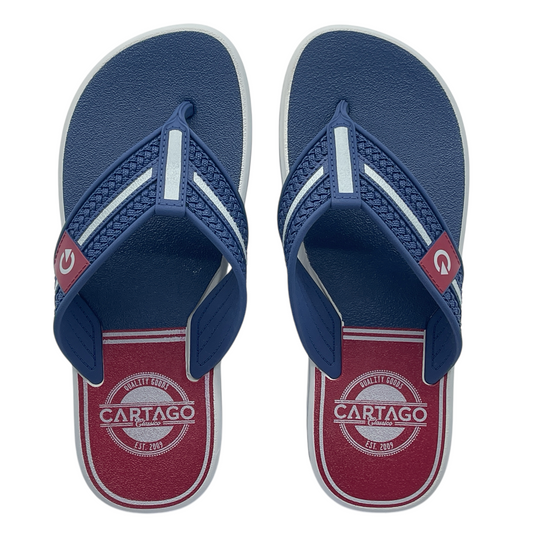 Chinelo Masculino Dedo Palermo Cartago 12397